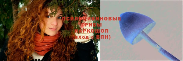 прущие крисы Переславль-Залесский