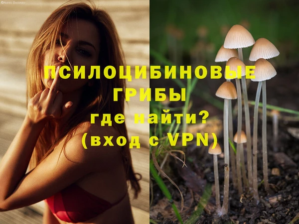 ешки Пестово